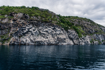 Fototapeta na wymiar Family of seagulls on a rock in the sea