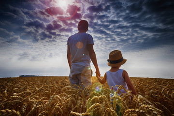 Father and son look at the sun. Weat field. Backview.