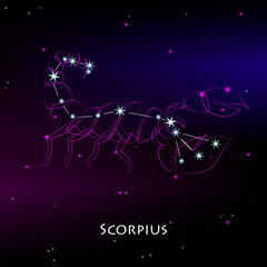 Constellation scorpius. Scorpio - constellations of the zodiac and the astrological sign against the backdrop of night starry sky. Vector illustration on a dark background