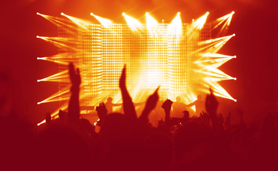  Jubelnde Menge bei einem Konzert