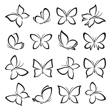 Fototapeta Butterflies set. Vector
