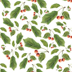 Cherry berries and leaves on white background. Watercolor hand made. Seamless colorful pattern