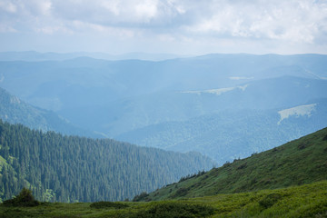 Travel, trekking. Summer landscape - mountains, green grass, trees and blue sky. Horizontal frame