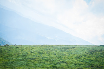 Fototapeta premium Travel, trekking. Summer landscape - mountains, green grass, trees and blue sky. Horizontal frame