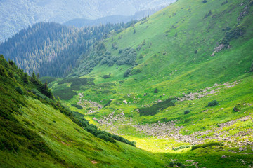 Travel, trekking, nature. Majestic, high green mountains. Horizontal frame