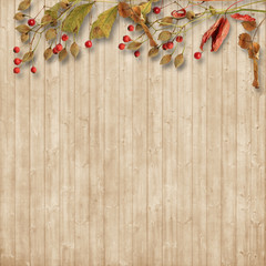 Autumn leaves border on vintage wooden background