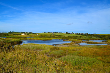 Réserve d'oiseaux à Guidel en Bretagne