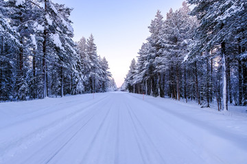 Road through winter snowy forest beyond polar circle in Lapland.