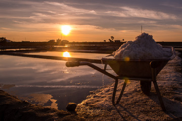 the sun reveals salt