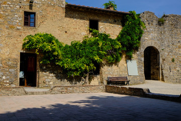 Wisteria climbing over an old building in Italy