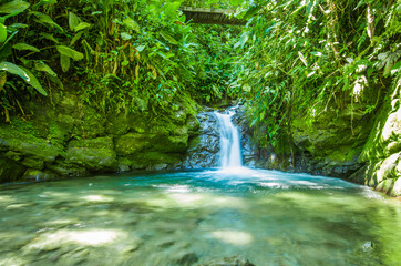 Beautiful small waterfall located inside of a green forest with stones in river at Mindo