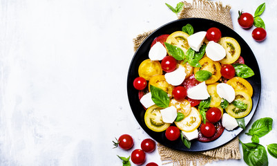 Salad of multi-colored tomatoes, mozzarella, and green basil, gray background, top view