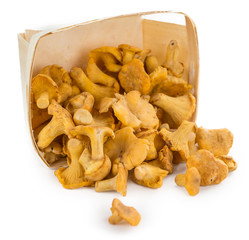 Chanterelles isolated on white