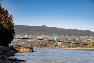 Lion's Gate Bridge and North Vancouver in the background with a trail in the foreground