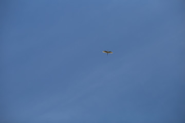 blue sky