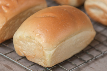 closeup bakery baked bread background
