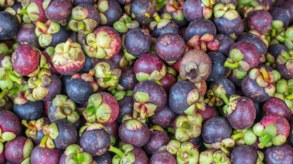 mangosteen in the market