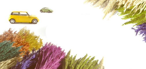 Summer holidays background