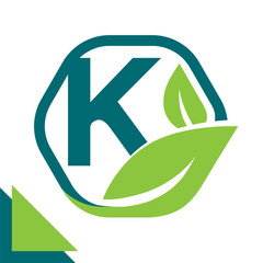 abstract logo icon leaf concept, environment, healthy, green technology with combination of letter K