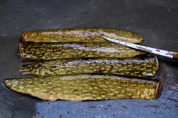 Closeup of the skin on a northern pike with a knife blade to the side