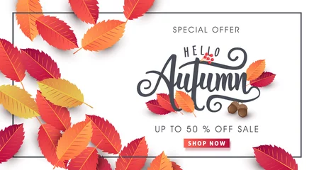 Poster Autumn sale background layout decorate with leaves for shopping sale or promo poster and frame leaflet or web banner.Vector illustration template. © bokmok