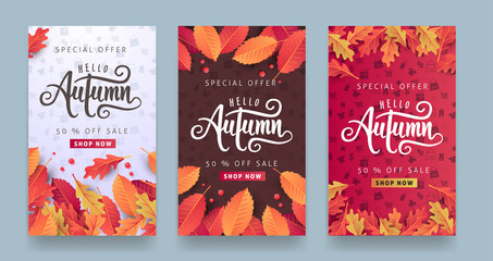 Autumn sale background layout decorate with leaves for shopping sale or promo poster and frame leaflet or web banner.Vector illustration template.