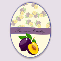 Vector square label, kiwi jam,