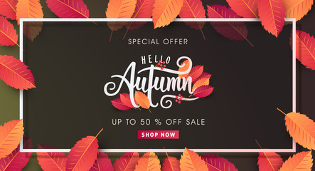Autumn sale background layout decorate with leaves for shopping sale or promo poster and frame leaflet or web banner.Vector illustration template.