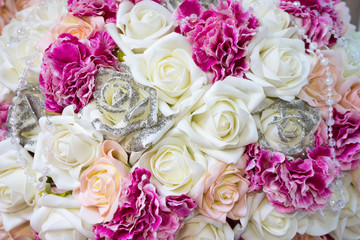 Tabebuia rosea is a Pink Flower neotropical tree,common name Pink trumpet tree Rosy trumpet tree