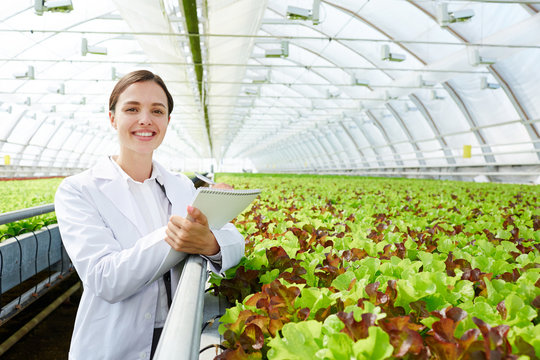 Happy agronomist making notes about new kinds of lettuce
