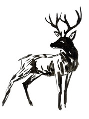 Рисунок тушь кистью 