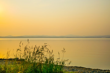 Golden sunset at a shore of a lake with silhouette of plants, Uveldy, the Ural, Russia
