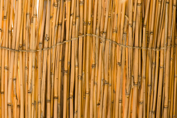 Reed tied in a fence as a background