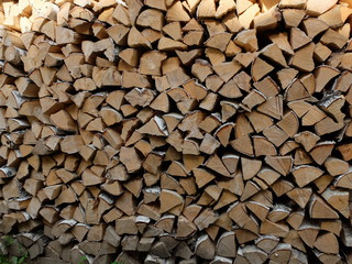the wood in the woodpile