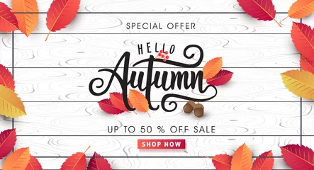 Foto op Canvas Autumn sale background layout decorate with leaves for shopping sale or promo poster and frame leaflet or web banner.Vector illustration template. © bokmok
