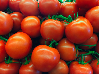 Fresh Red Tomatoes