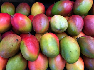 Fresh Mangoes