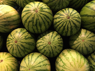 fresh Whole Watermelon