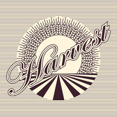 Harvest farming background.