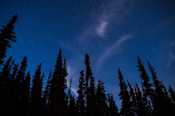 Early Evening Milky Way