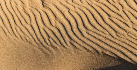 Sand in the desert as a background