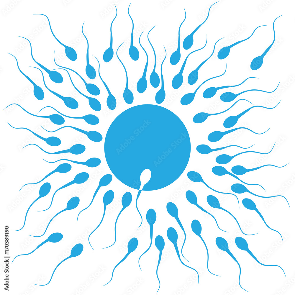 Wall mural vector background sperm that runs towards the egg, competition concept