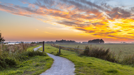 Winding cycling track through Dutch Polder