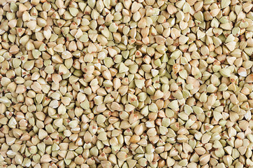 Green buckwheat background. Top view, closeup.