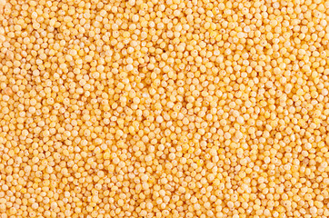 Millet background. Top view, closeup.