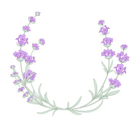 Obraz na płótnie Canvas The lavender elegant wreath with bouquet of flowers over white background. Lavender blossom for marriage invitation. Frame with lavender flowers. Vector illustration.