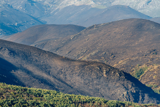 Montes quemados en la Sierra de la Cabrera, León, España.