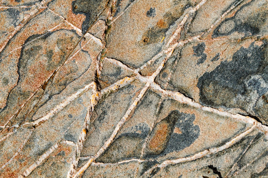 Formas y texturas en la roca.