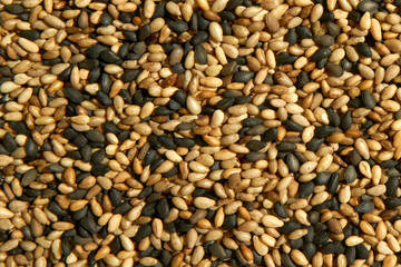 Sesame taken close up.