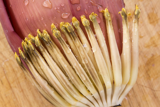 Banana Blossom and Purple grape on the wood 